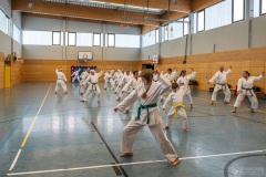 Grundlagentraining Bous – Manji Uke