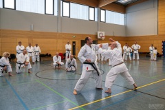 Grundlagentraining Bous – Bunkai Manji Uke