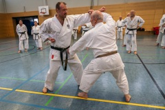 Grundlagentraining Bous – Bunkai Manji Uke