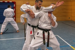 Grundlagentraining Bous – Bunkai Manji Uke