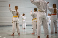 Kata Meeting Bous 2024, Kata Heian Nidan, Gottfried Graebner, Shotokan Karate Lehrgang