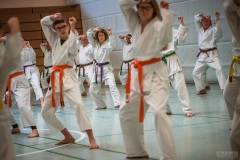 Kata Meeting Bous 2024, Kata Heian Nidan, Gottfried Graebner, Shotokan Karate Lehrgang