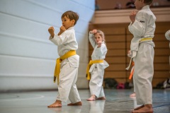 Kata Meeting Bous 2024, Kata Heian Nidan, Gottfried Graebner, Shotokan Karate Lehrgang