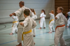 Kata Meeting Bous 2024, Kata Heian Nidan, Gottfried Graebner, Shotokan Karate Lehrgang