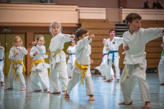 Kata Meeting Bous 2024, Kata Heian Nidan, Gottfried Graebner, Shotokan Karate Lehrgang