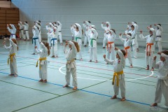 Kata Meeting Bous 2024, Kata Heian Nidan, Gottfried Graebner, Shotokan Karate Lehrgang