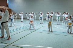 Kata Meeting Bous 2024, Kata Heian Nidan, Gottfried Graebner, Shotokan Karate Lehrgang