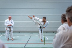 Kata Meeting Bous 2024, Kata Kanku Dai, Roman Adam, Shotokan Karate Lehrgang