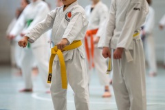 Kata Meeting Bous 2024, Kata Heian Nidan, Gottfried Graebner, Shotokan Karate Lehrgang