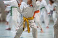 Kata Meeting Bous 2024, Kata Heian Nidan, Gottfried Graebner, Shotokan Karate Lehrgang