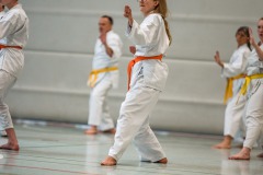 Kata Meeting Bous 2024, Kata Heian Nidan, Gottfried Graebner, Shotokan Karate Lehrgang