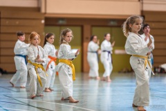 Kata Meeting Bous 2024, Kata Heian Nidan, Gottfried Graebner, Shotokan Karate Lehrgang