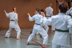 Kata Meeting Bous 2024, Kata Kanku Dai, Roman Adam, Shotokan Karate Lehrgang