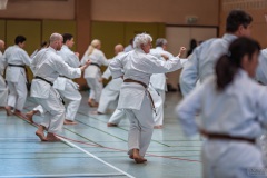 Kata Meeting Bous 2024, Kata Kanku Dai, Roman Adam, Shotokan Karate Lehrgang