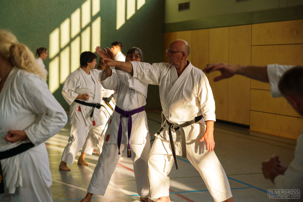 Intensivlehrgang Lebach 2025 mit Roman Adam, 8. Dan DKV (Deutscher Karate Verband), Bunkai, Bunkai, Bunkai.