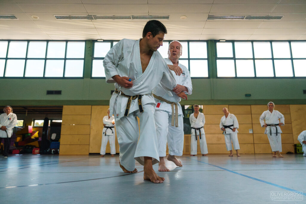 Intensivlehrgang Lebach 2025 mit Roman Adam, 8. Dan DKV (Deutscher Karate Verband), zwischen Kihon und Kata wird immer wieder die Anwendung (Bunkai) der Techniken am Partner geübt.